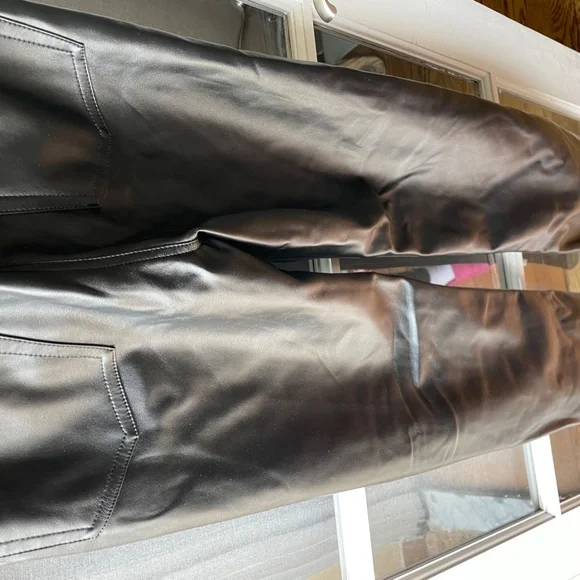 Anine Bing Kat Faux Leather pants